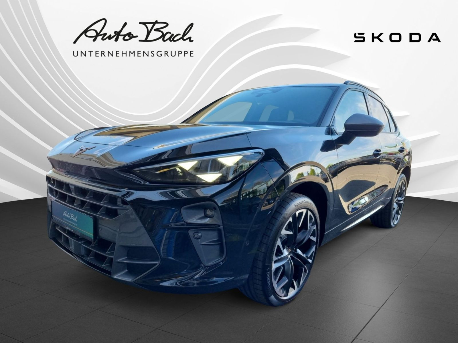 Cupra Terramar 2.0TSI 4Drive DSG Navi LED Panorama DCC