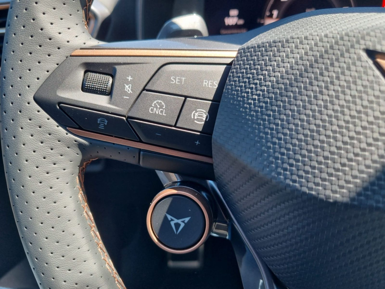 Cupra Formentor 1.5 eTSi DSG Navi LED CarPlay ACC RFK