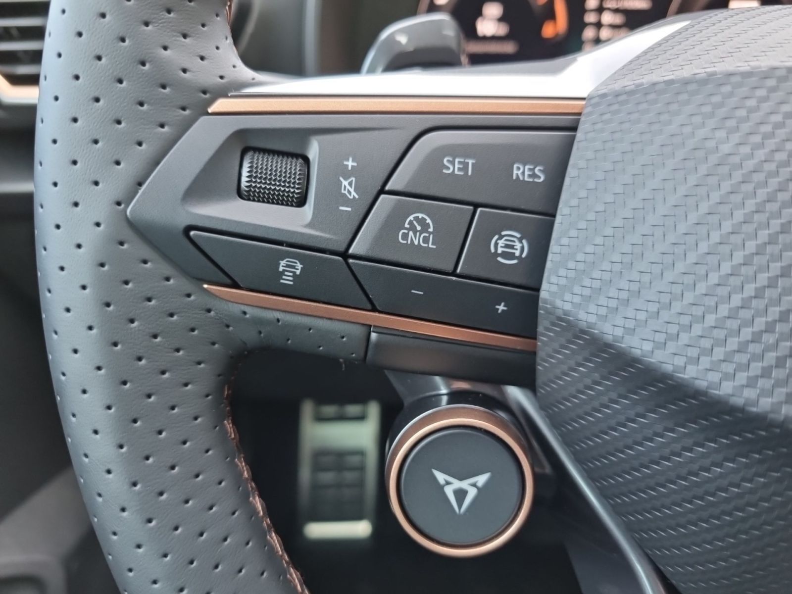 Cupra Leon 1.5 eTSI DSG Navi LED DCC CarPlay ACC RFK