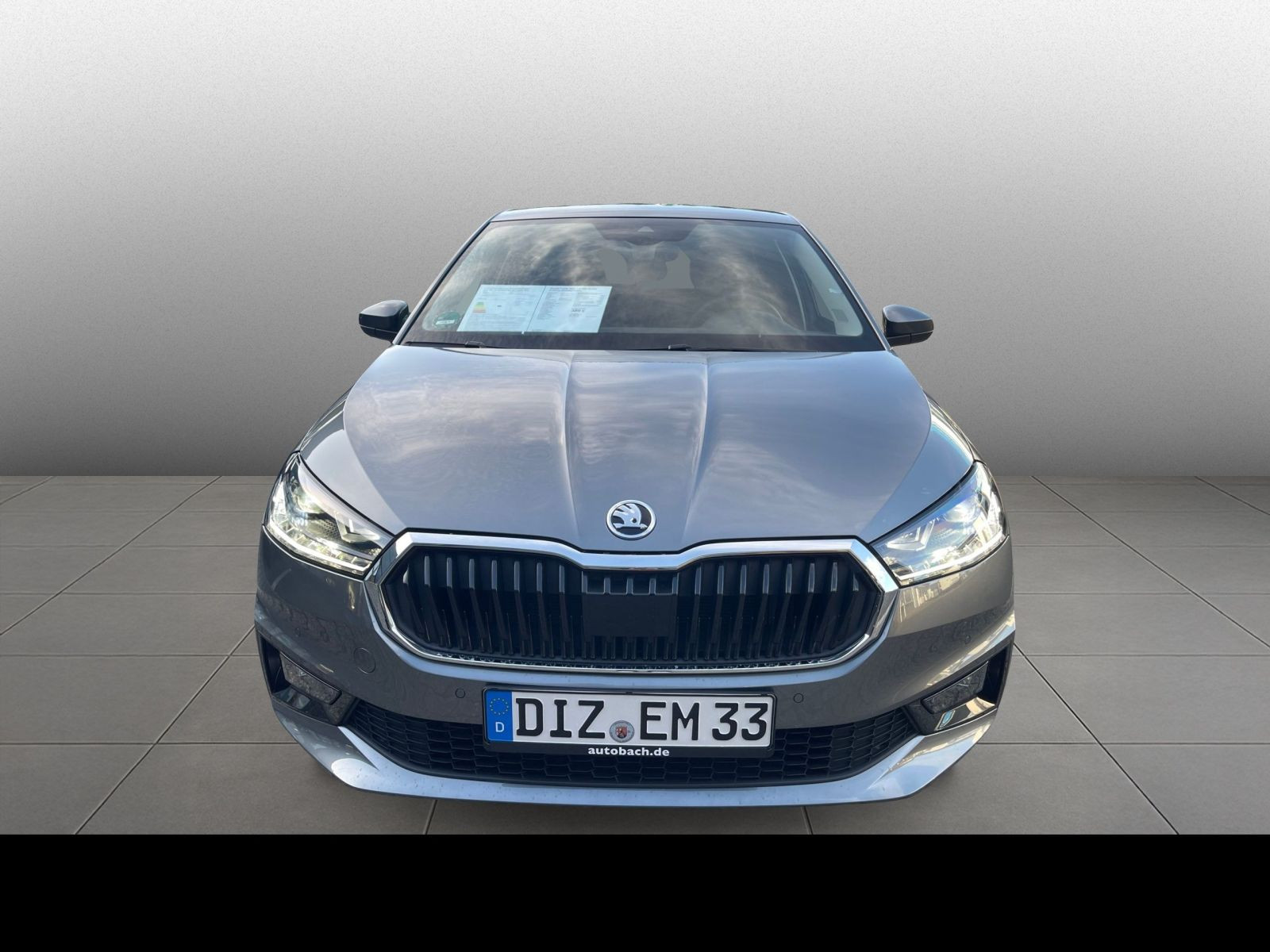 Skoda Fabia 1.0TSI Tour LED Klimaautomatik GRA EPH DAB