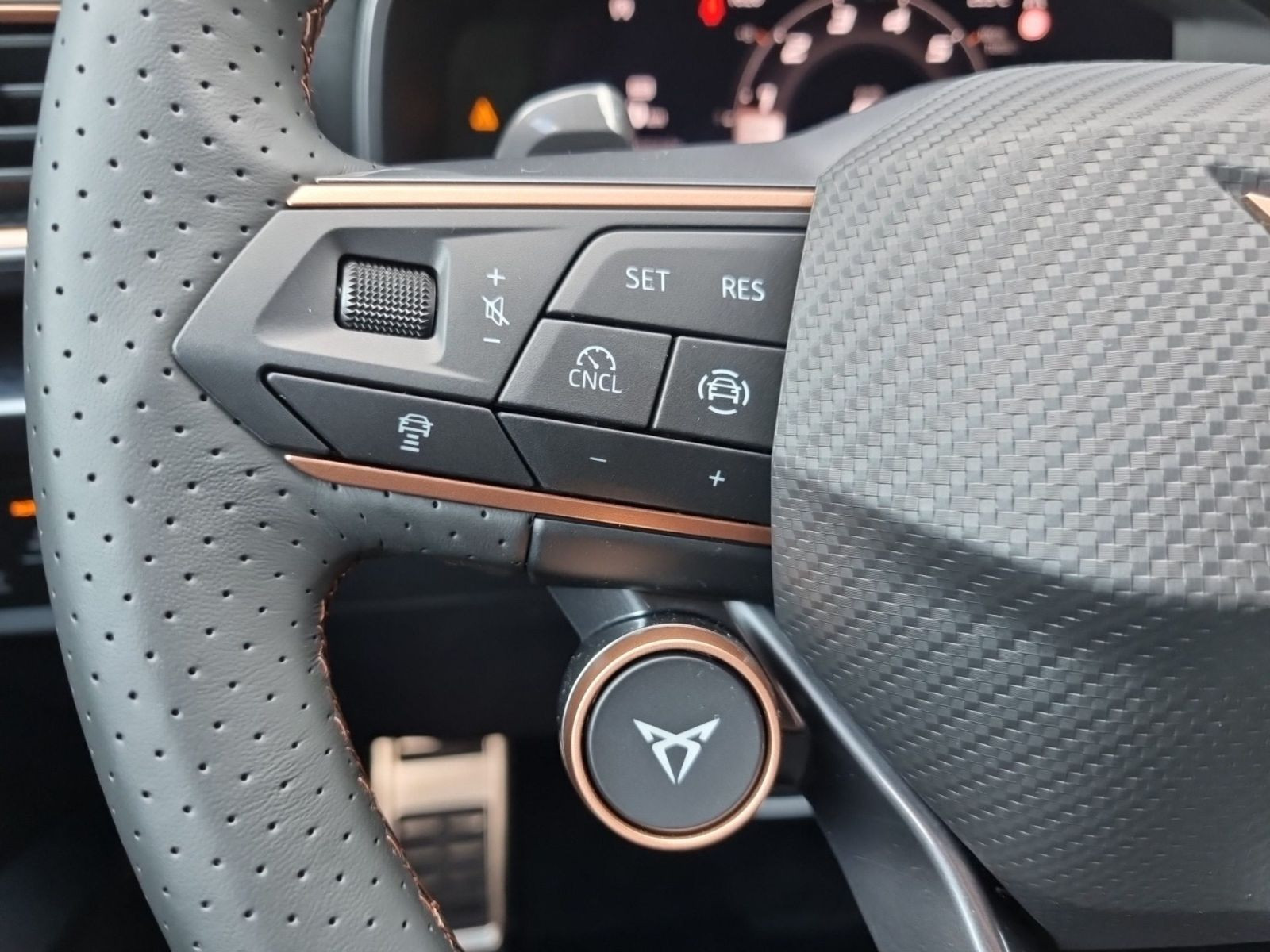 Cupra Formentor 1.5 eTSI DSG Navi LED CarPlay ACC RFK