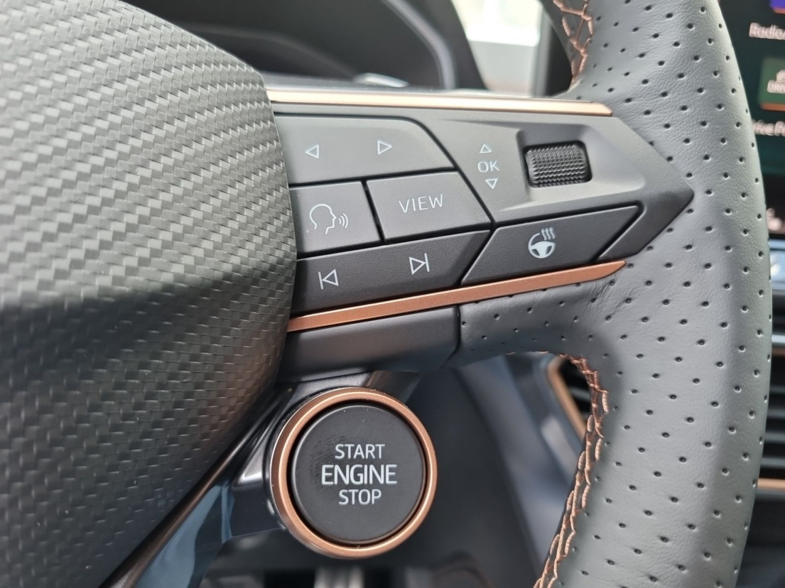 Cupra Formentor 1.5 eTSI DSG Navi LED CarPlay ACC RFK