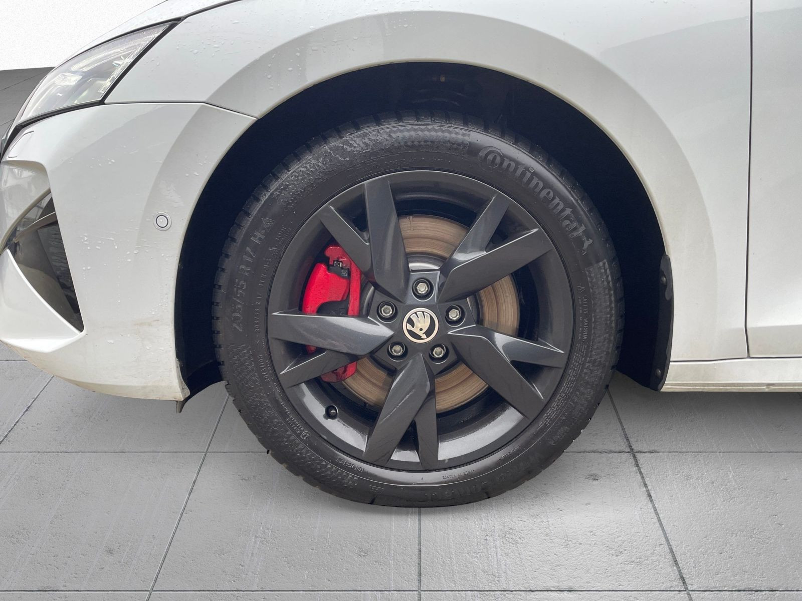 Skoda Octavia Combi RS 2.0 TSI DSG AHK LED HuD Area View