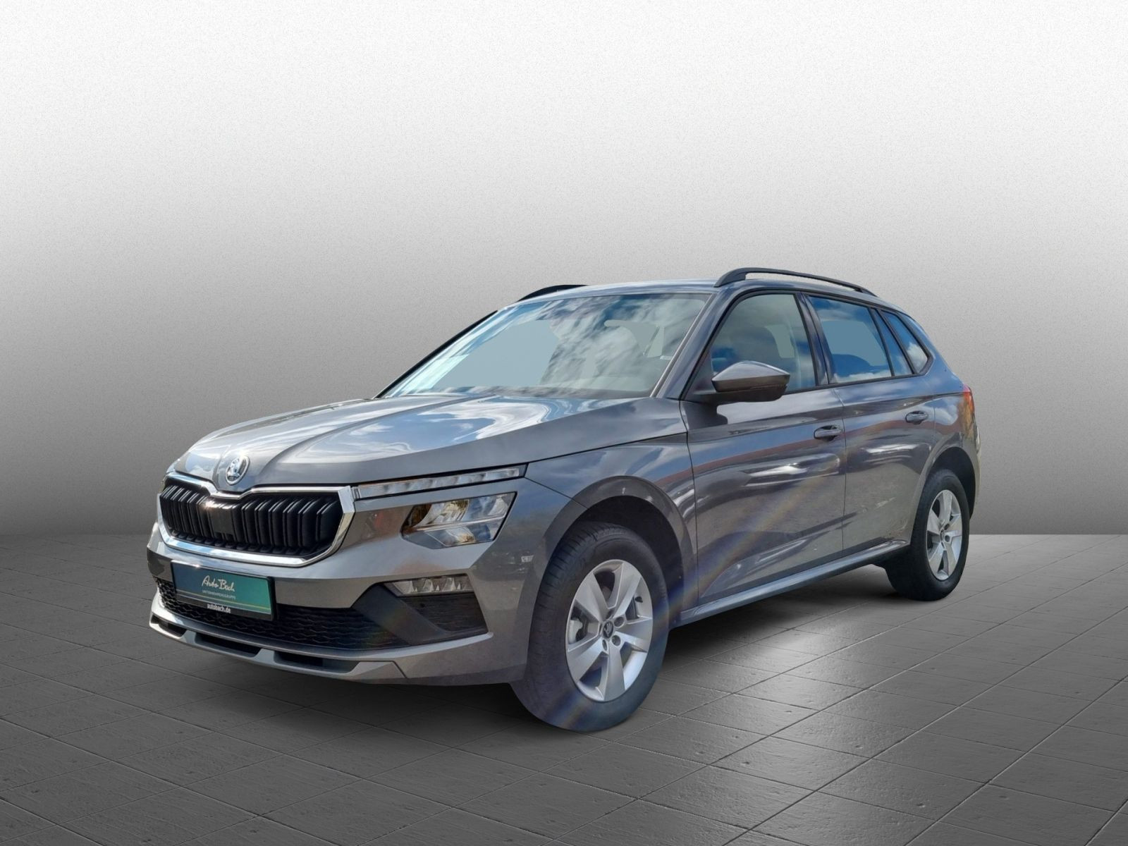 Skoda Kamiq 1.0TSI Selection 130 Jahre LED CarPlay GRA