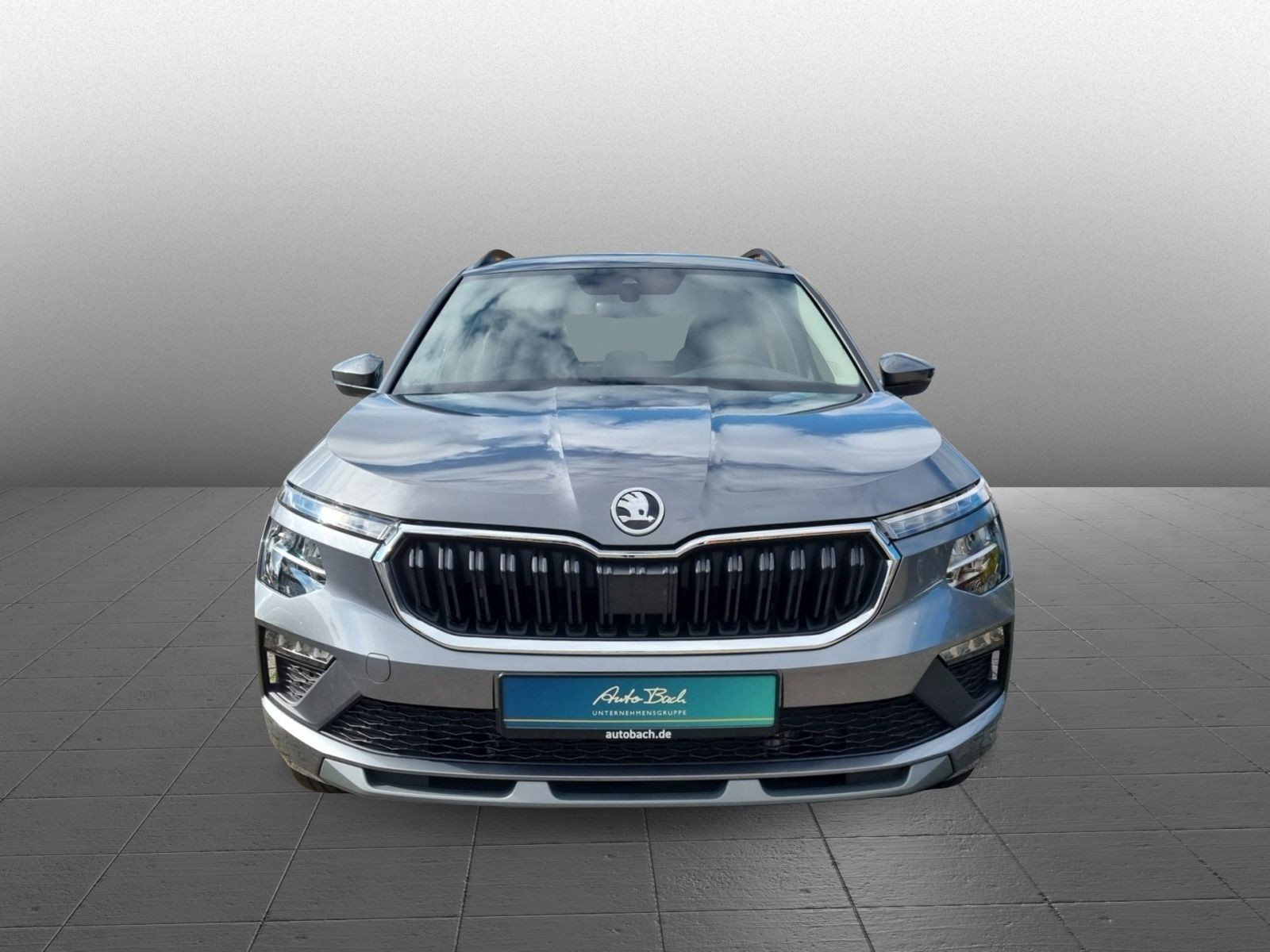 Skoda Kamiq 1.0TSI Selection 130 Jahre LED CarPlay GRA