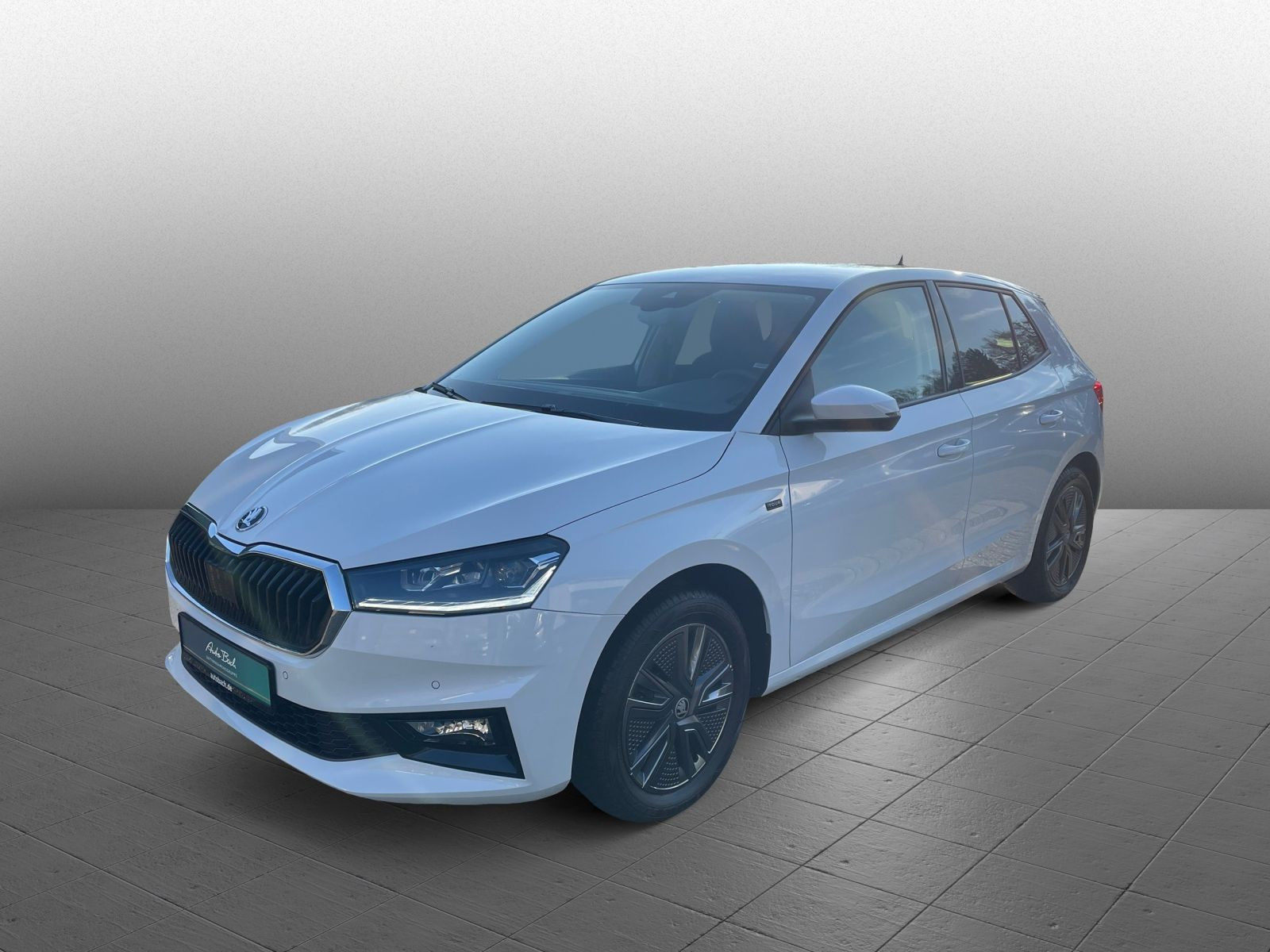Skoda Fabia Tour Selection 1.0TSI Navi LED EPH GRA