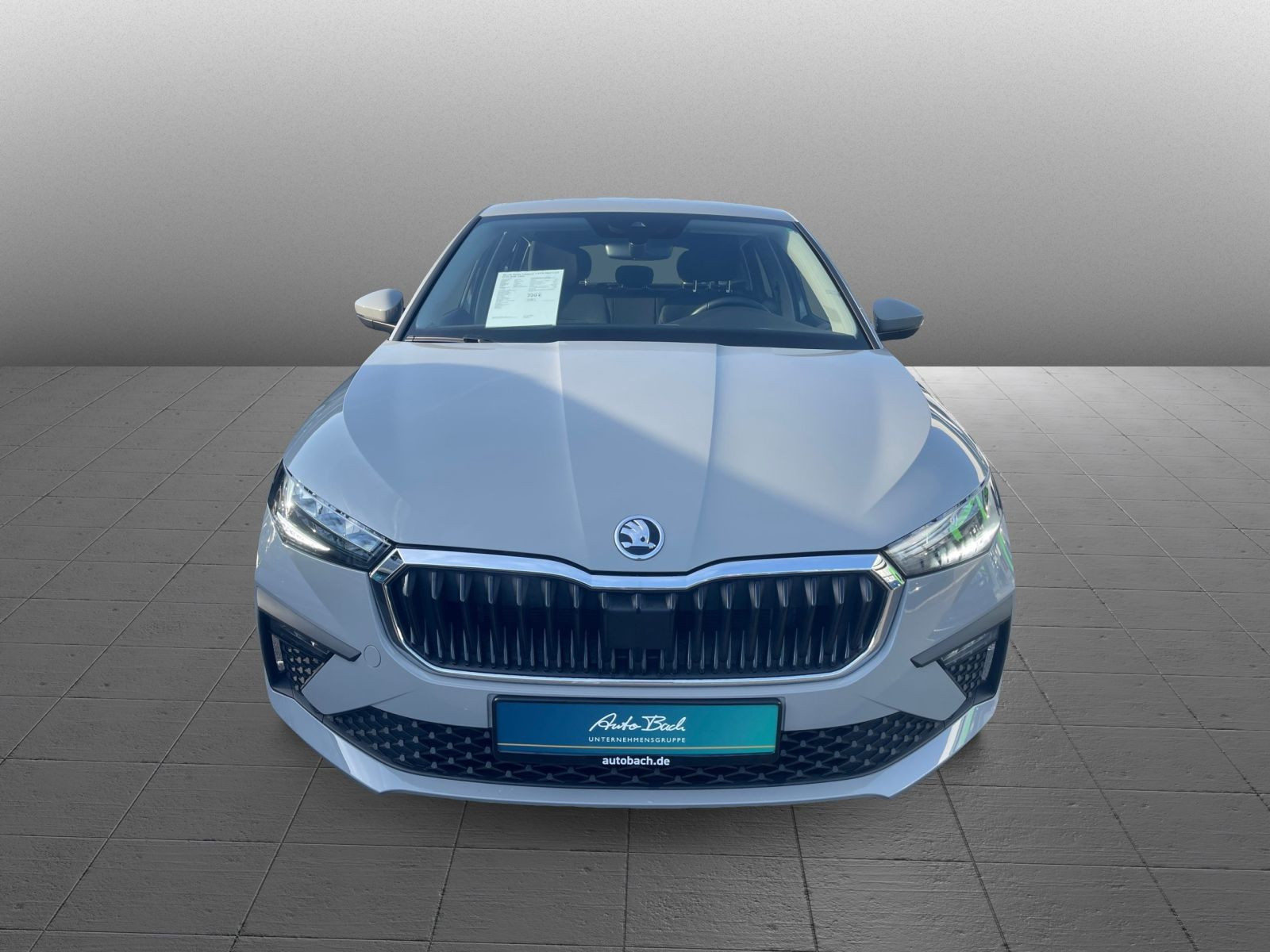 Skoda Scala Essence 1.0 TSI LED Winterpaket Carplay