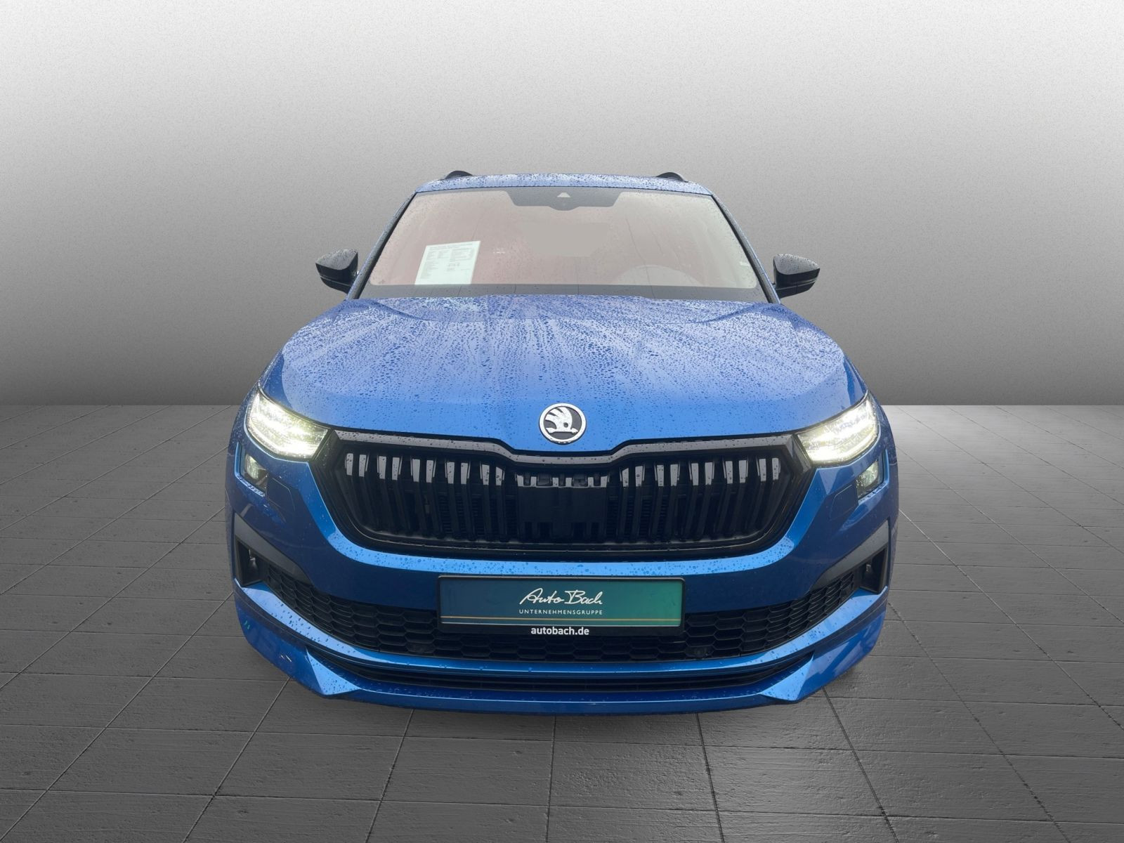 Skoda Kodiaq Sportline 2.0 TDI DSG Navi LED EPH AHK GRA