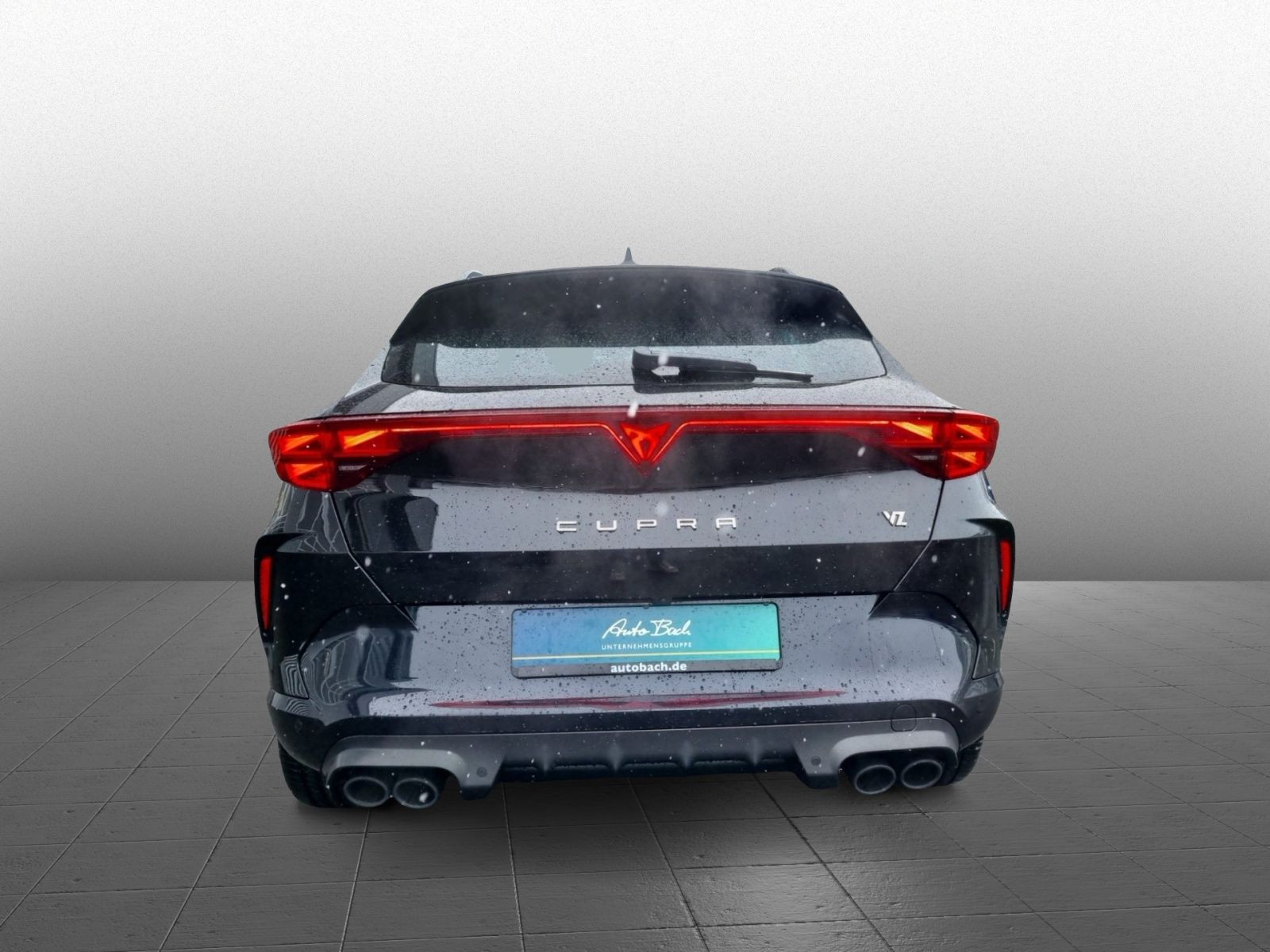 Cupra Formentor VZ 2.0 TSI 4Drive AHK LED ACC DCC