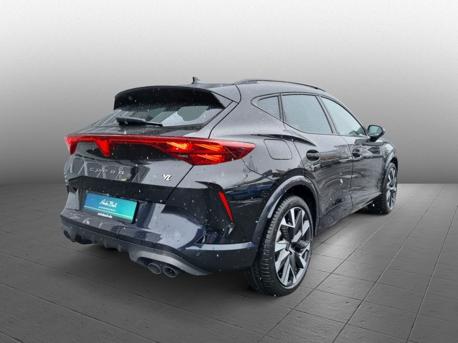 Cupra Formentor VZ 2.0 TSI 4Drive AHK LED ACC DCC