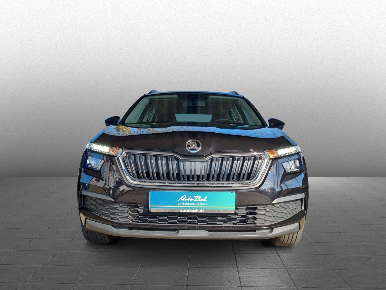 Skoda Kamiq Active 1,0 TSI Sitzhheizung EPH Car Play