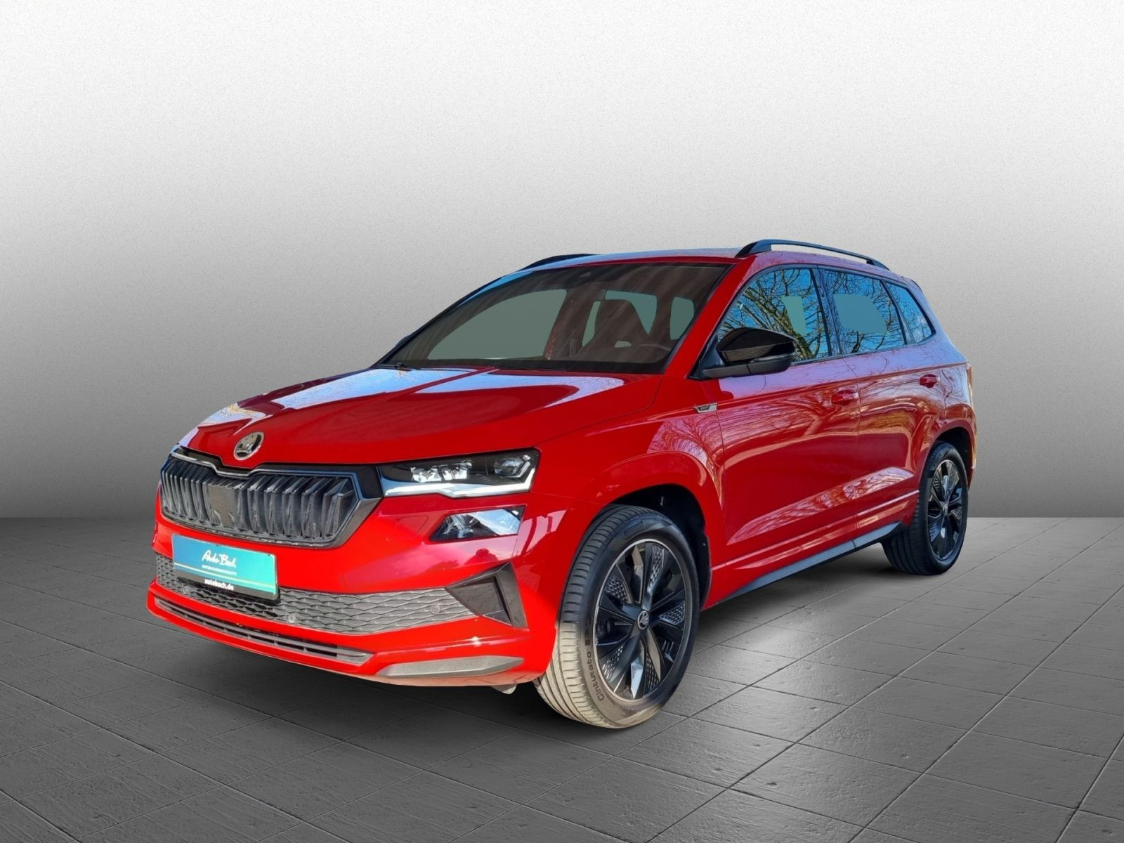 Skoda Karoq Sportline 2,0 TDI 4x4 DSG Standhzg DCC EPH