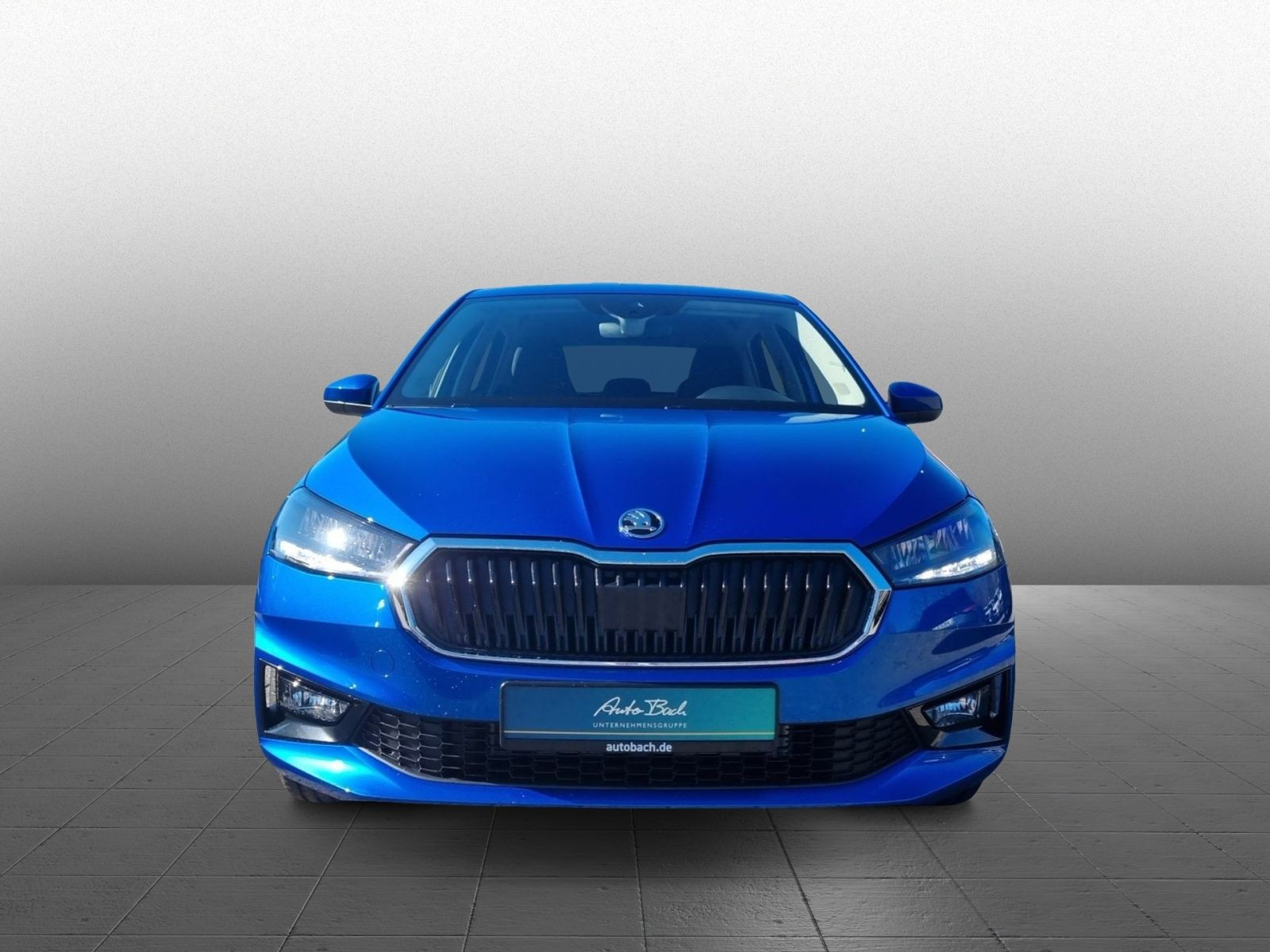 Skoda Fabia 130 Jahre 1,0 MPI Klima Sitzhzg LED CarPlay