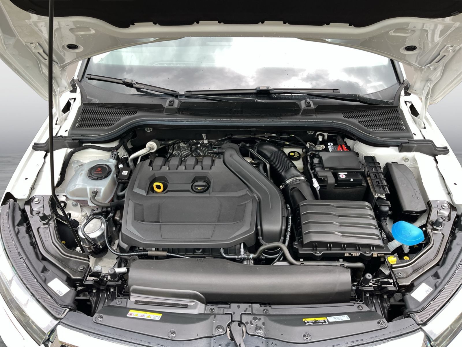 Skoda Kamiq Tour 1.5 TSI DSG Navi LED ACC EPH AHK