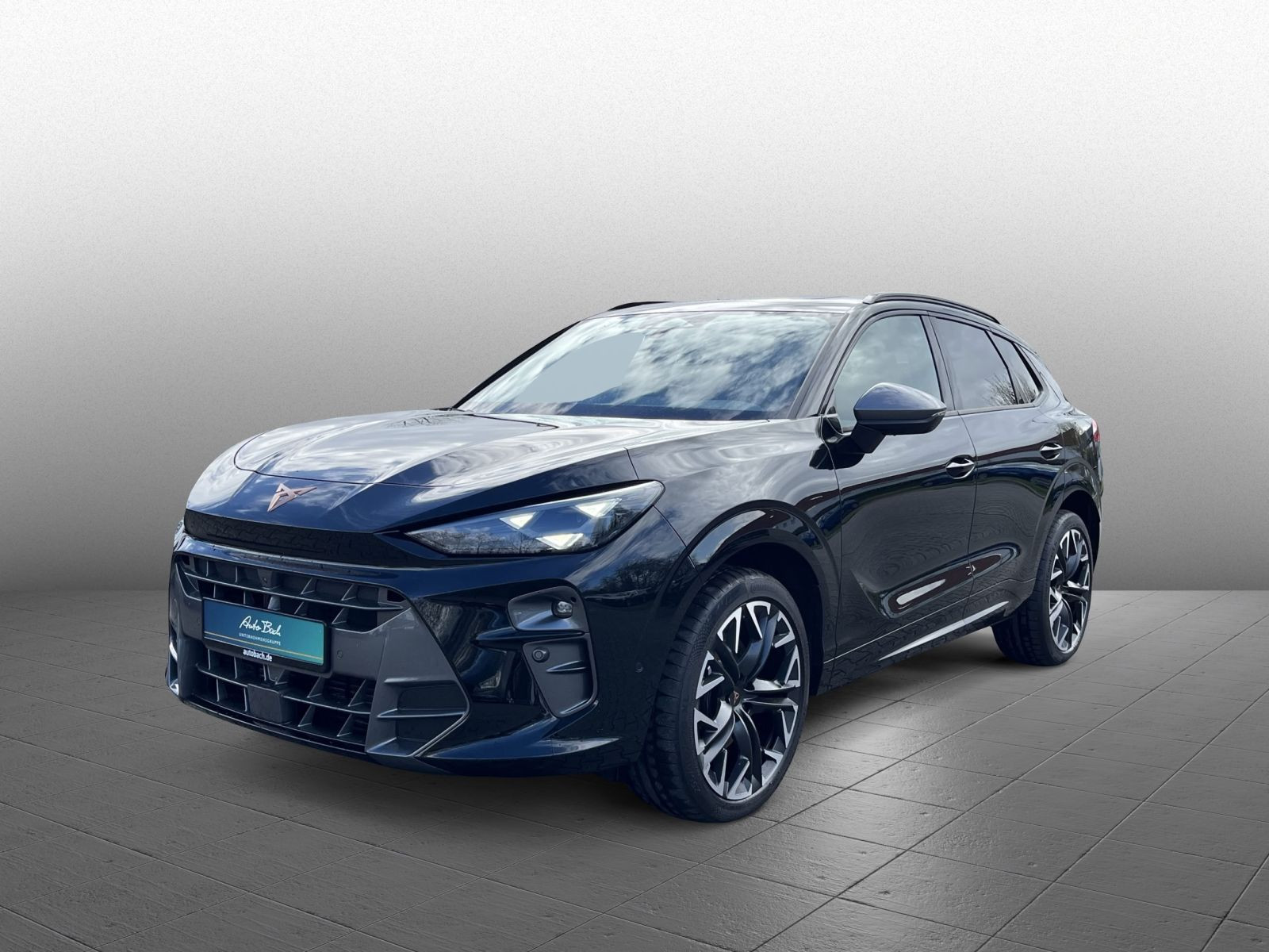 Cupra Terramar VZ 2.0TSI DSG 4x4 HuD LED Navi AHK