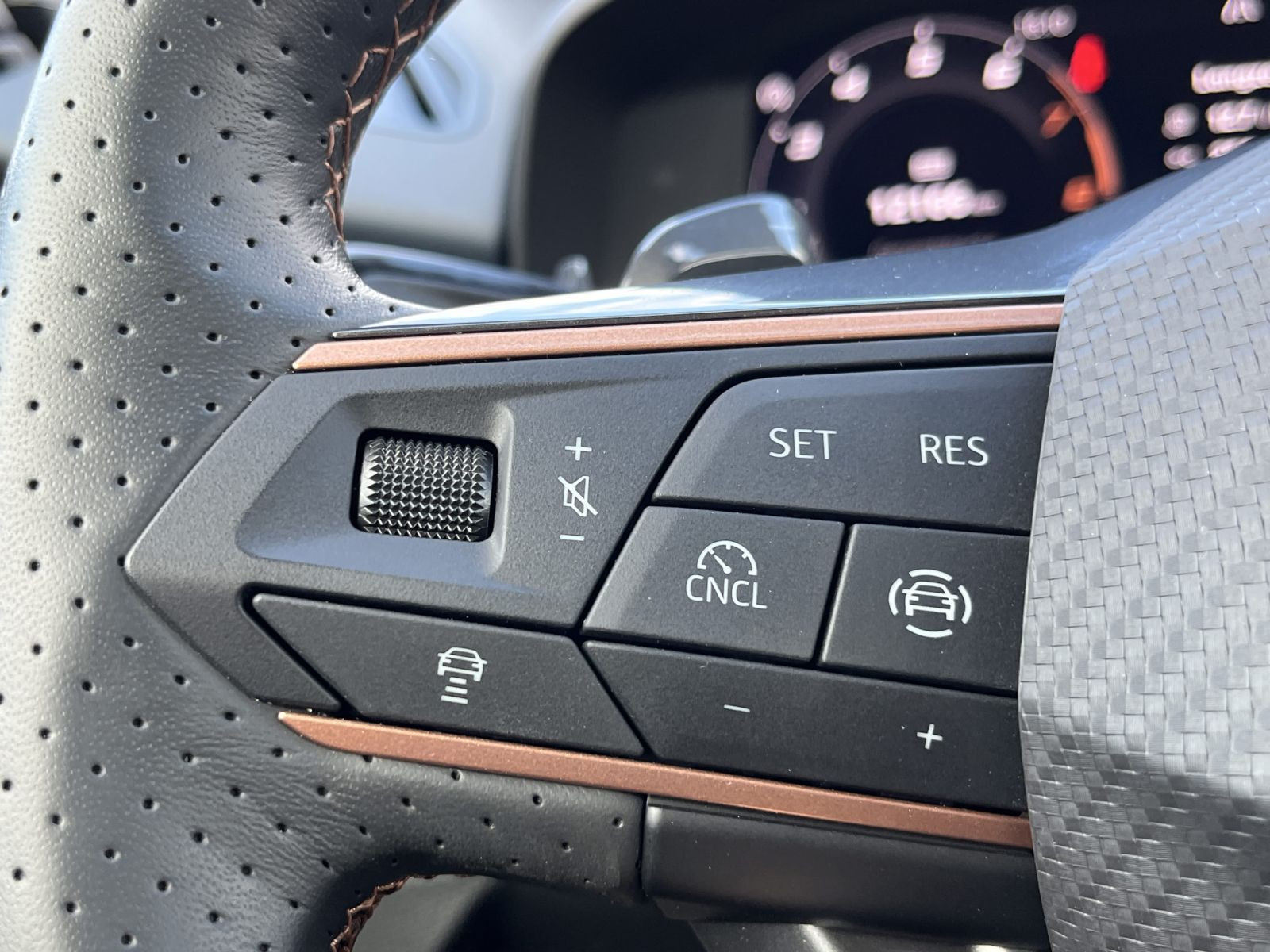 Cupra Terramar VZ 2.0TSI DSG 4x4 HuD LED Navi AHK