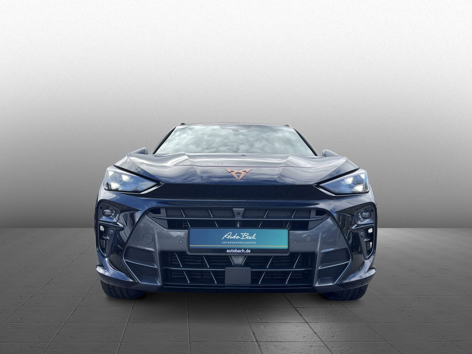 Cupra Terramar VZ 2.0TSI DSG 4x4 HuD LED Navi AHK