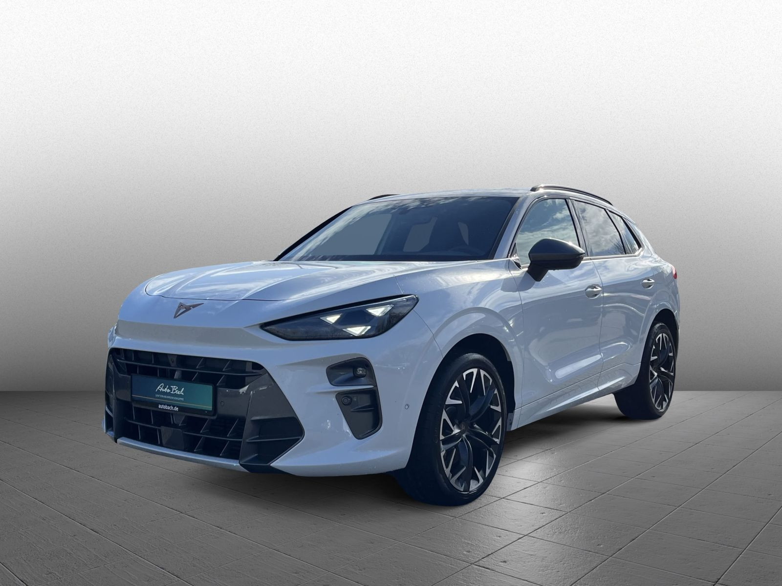 Cupra Terramar VZ 2.0TSI DSG 4x4 Navi LED HuD AHK