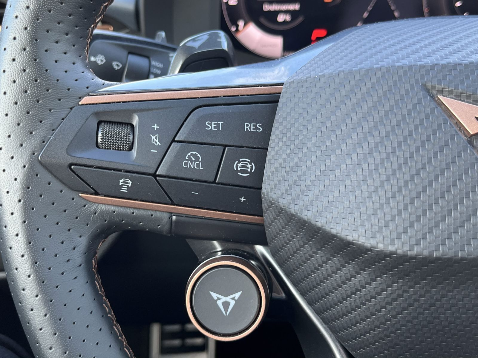 Cupra Terramar VZ 2.0TSI DSG 4x4 Navi LED HuD AHK