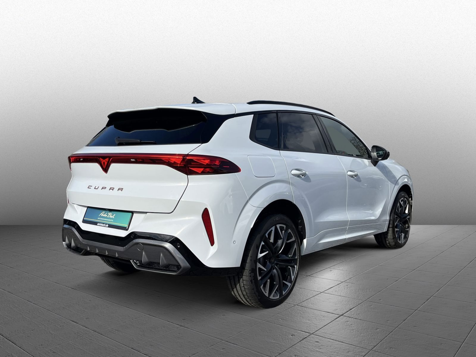 Cupra Terramar VZ 2.0TSI DSG 4x4 Navi LED HuD AHK