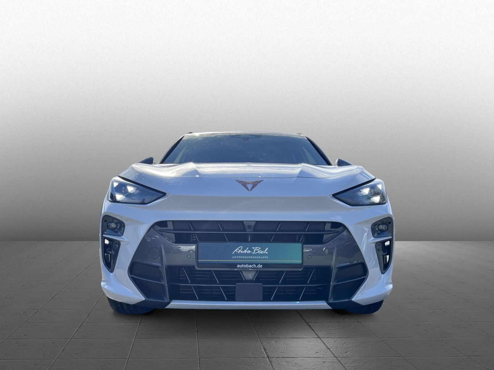 Cupra Terramar VZ 2.0TSI DSG 4x4 Navi LED HuD AHK