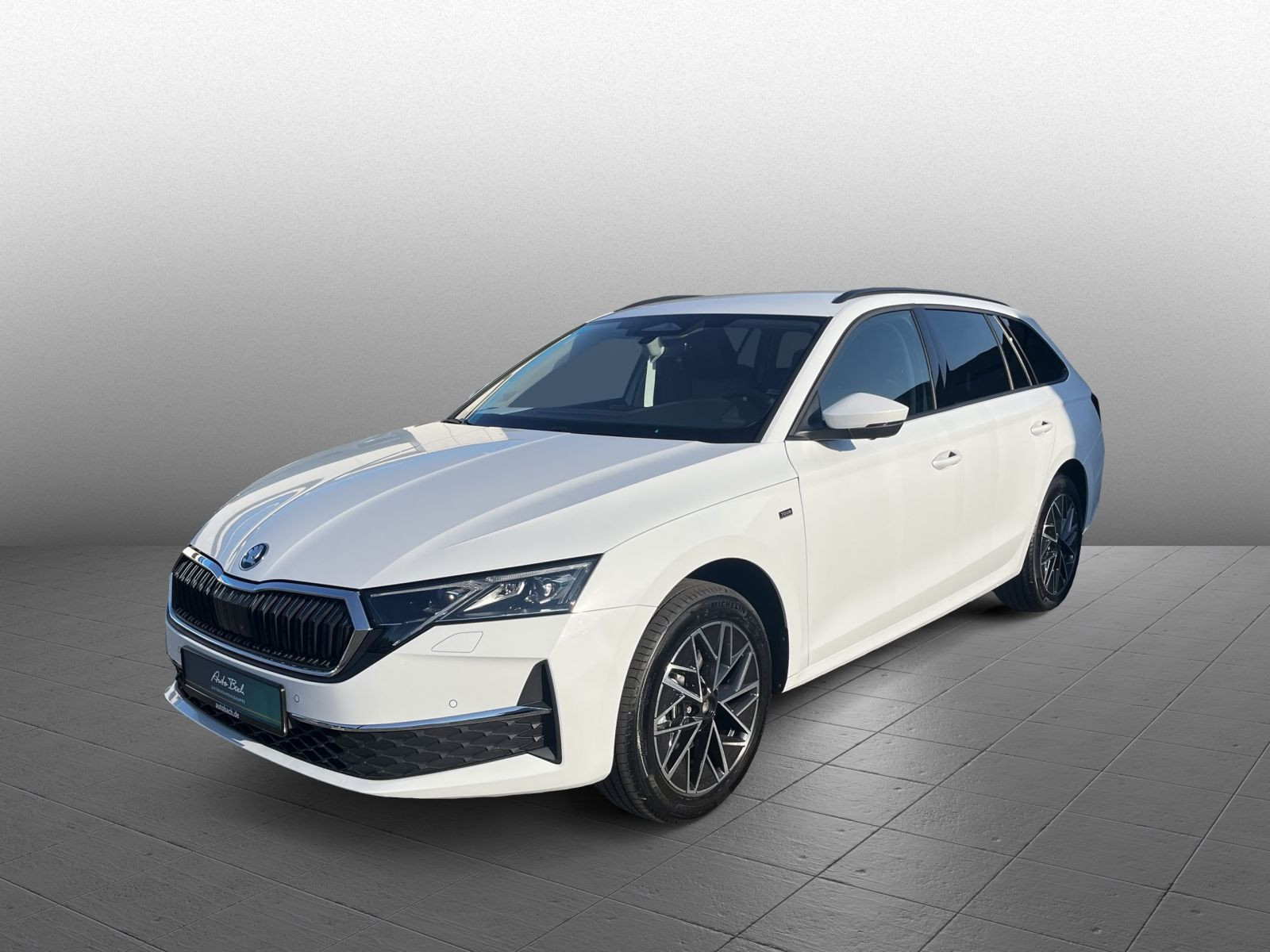 Skoda Octavia Combi Tour 2,0 TDI DSG AHK LED Area View