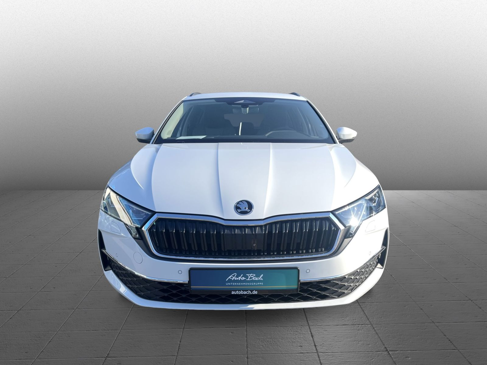 Skoda Octavia Combi Tour 2,0 TDI DSG AHK LED Area View