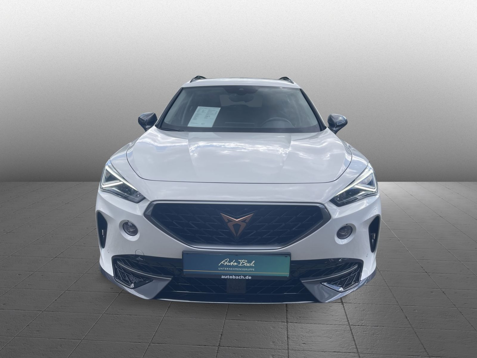 Cupra Formentor 1.4 TSI e-Hybrid DSG LED ACC Sitzhzg AHK