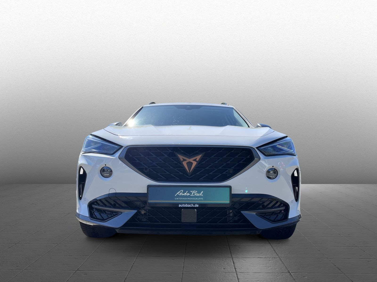 Cupra Formentor 1,4TSI e-Hybrid DSG LED ACC Sitzhzg AHK
