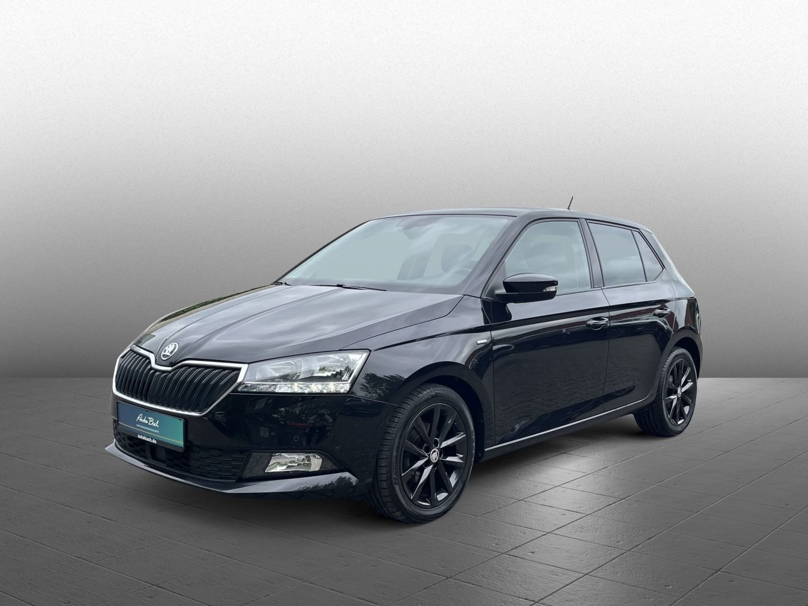 Skoda Fabia Clever 1.0TSI GRA ACC Sitzhzg Car Play