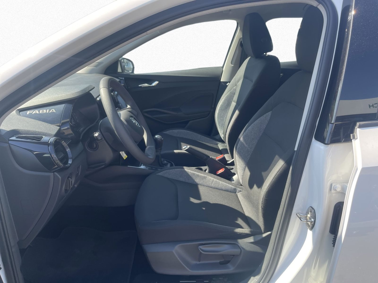 Skoda Fabia Active 1.0 TSI LED Sitzhzg Car Play