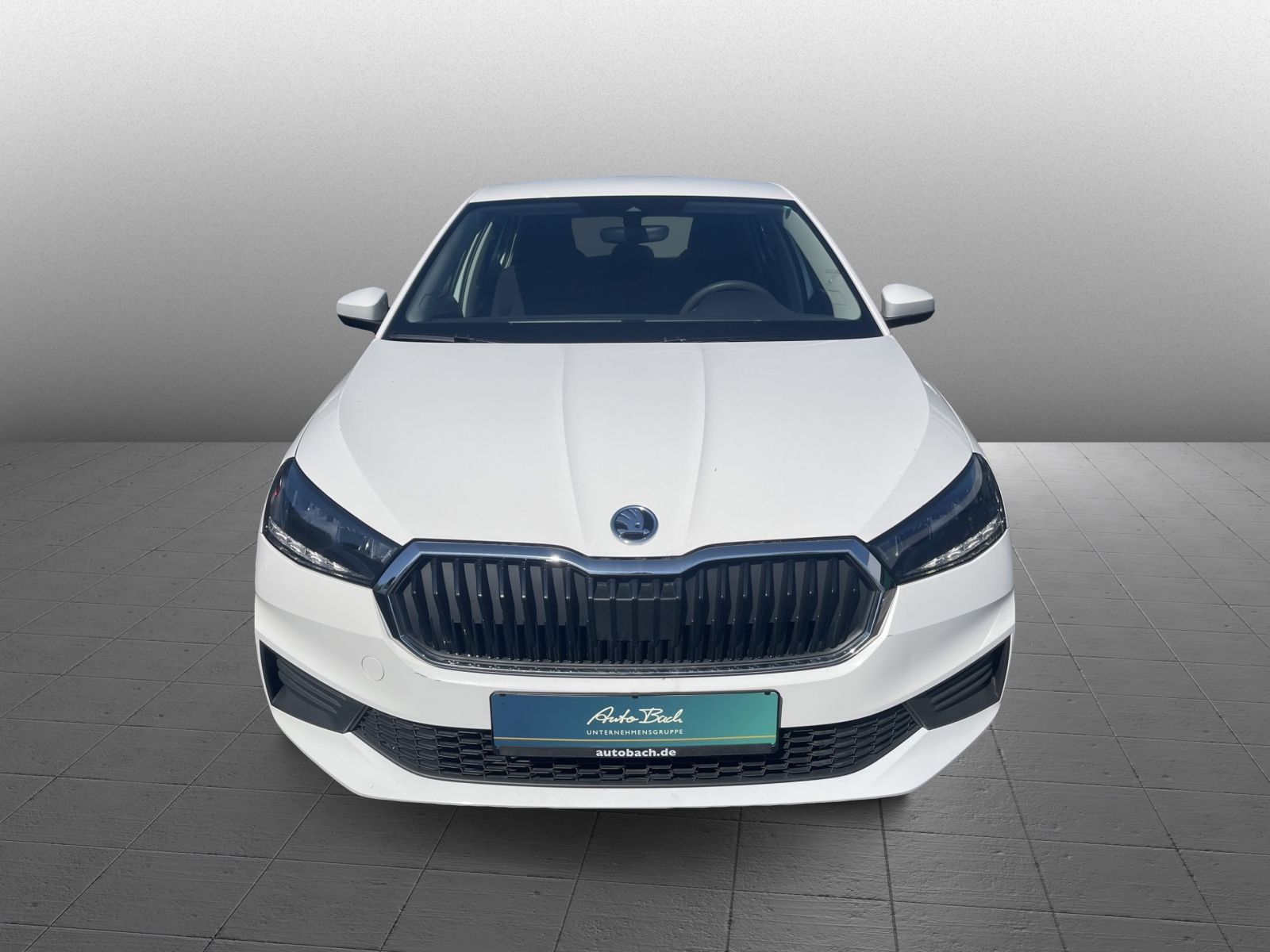 Skoda Fabia Active 1.0 TSI LED Sitzhzg Car Play