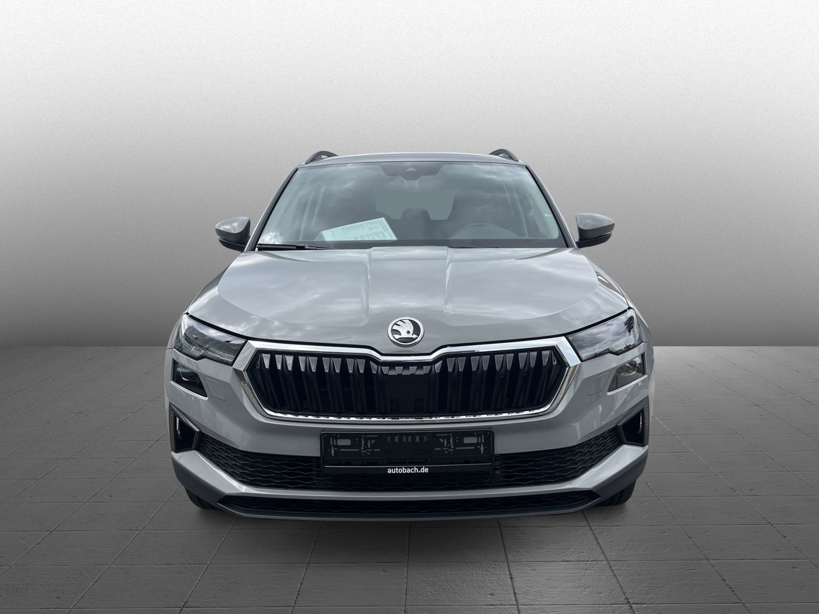 Skoda Karoq Tour 1.5 TSI Sitzhzg Car Play AHK