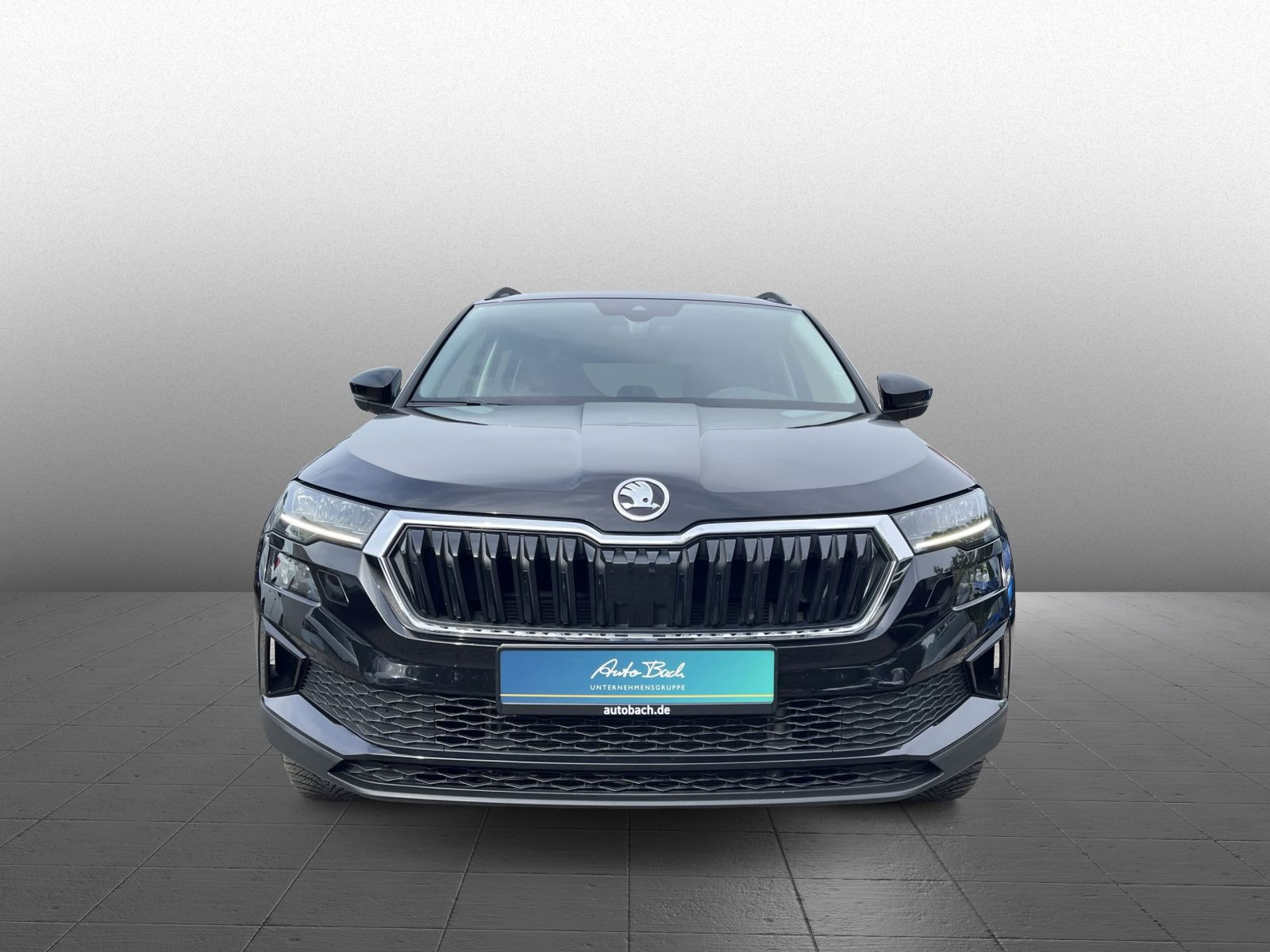 Skoda Karoq Selection 1.5TSI LED Sitzhzg Car Play