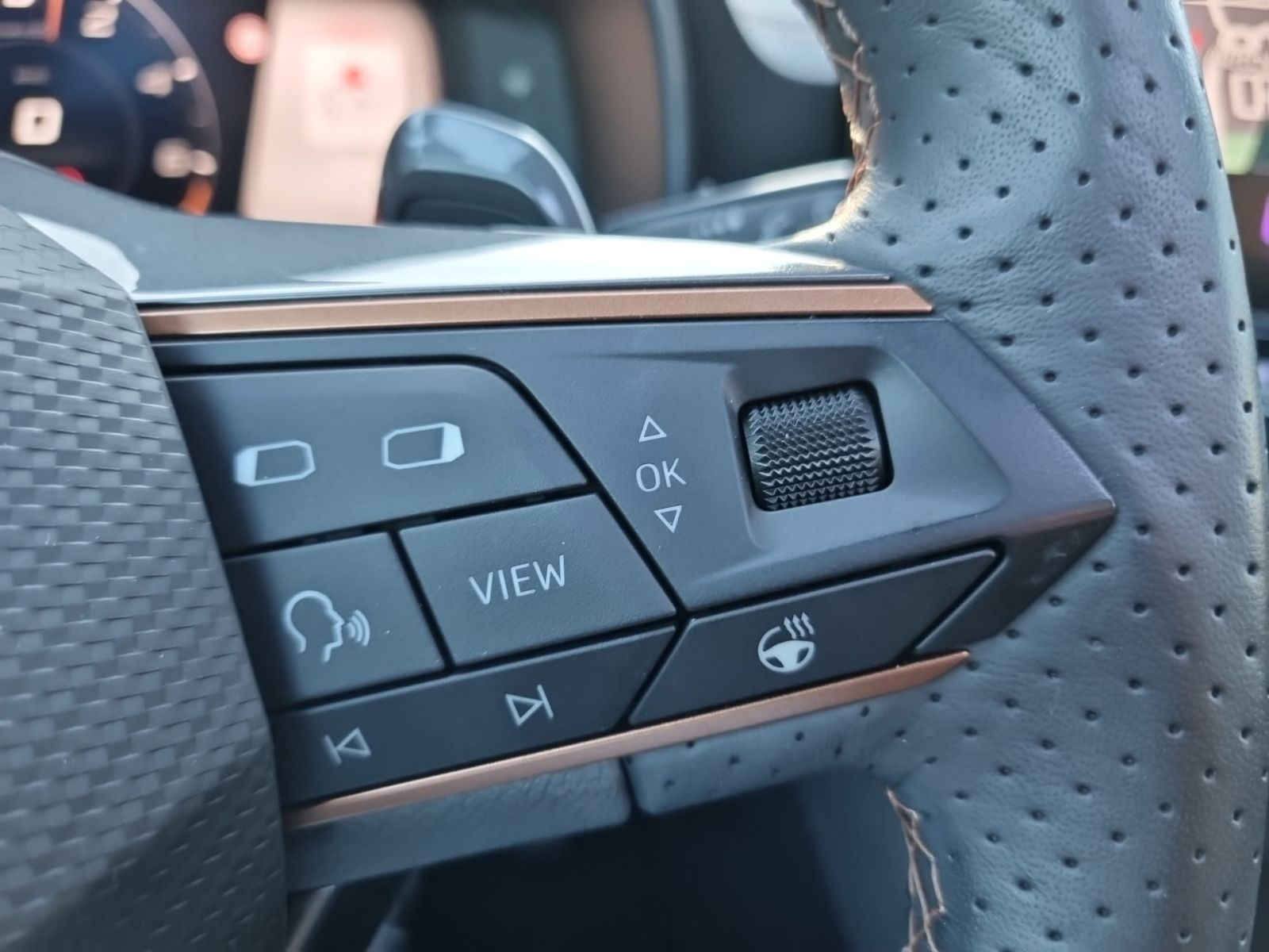 Cupra Formentor 1.4 TSI eHybrid Matrix ACC Panorama
