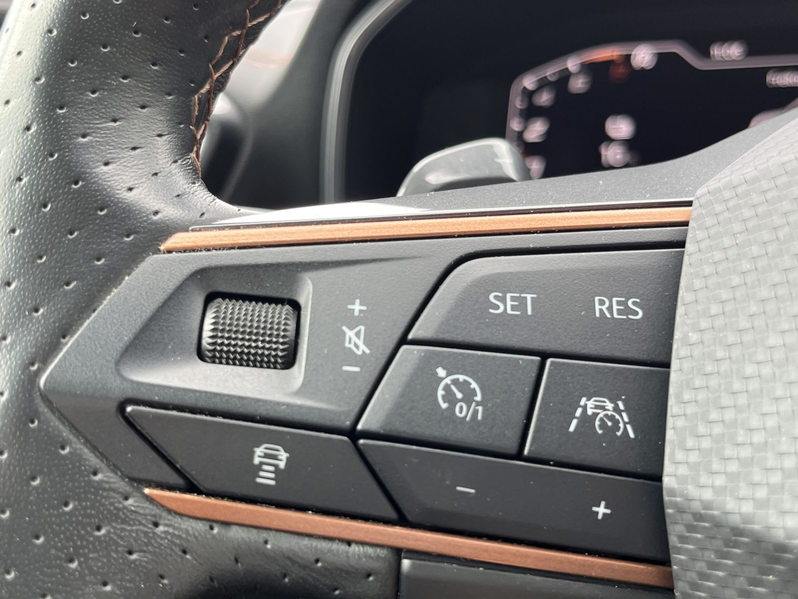 Cupra Formentor VZ 1.4 e-Hybrid Navi LED Panorama ACC AHK