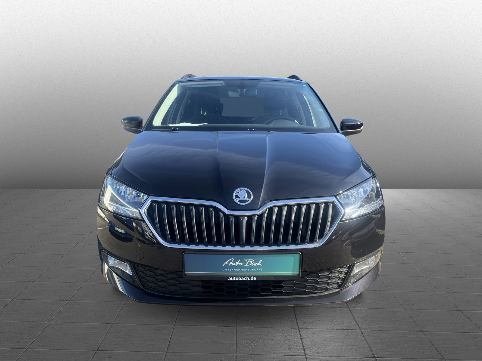 Skoda Fabia Combi Ambition 1.0 TSI Navi Carplay Sitzhzg