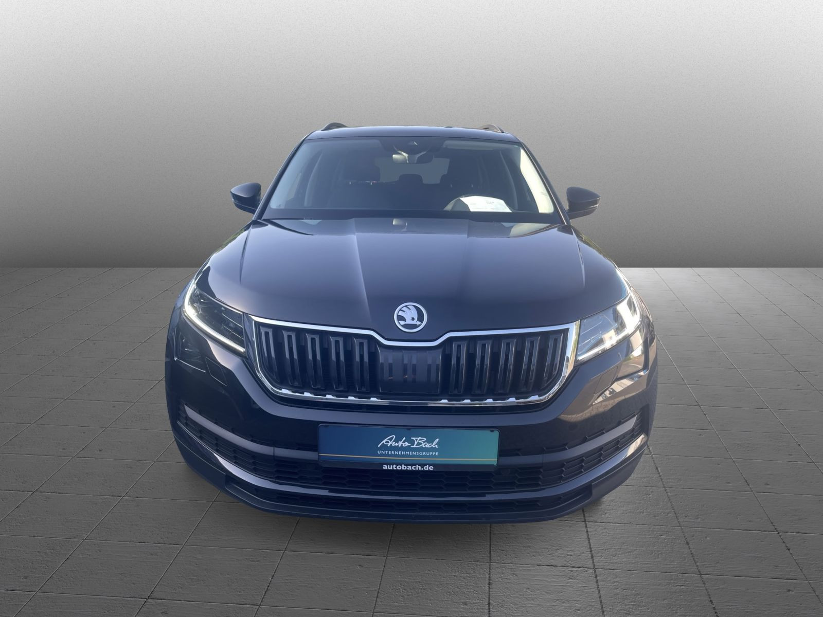 Skoda Kodiaq Clever 2.0TDI 147kW DSG 4x4 Navi ACC RFK Carplay