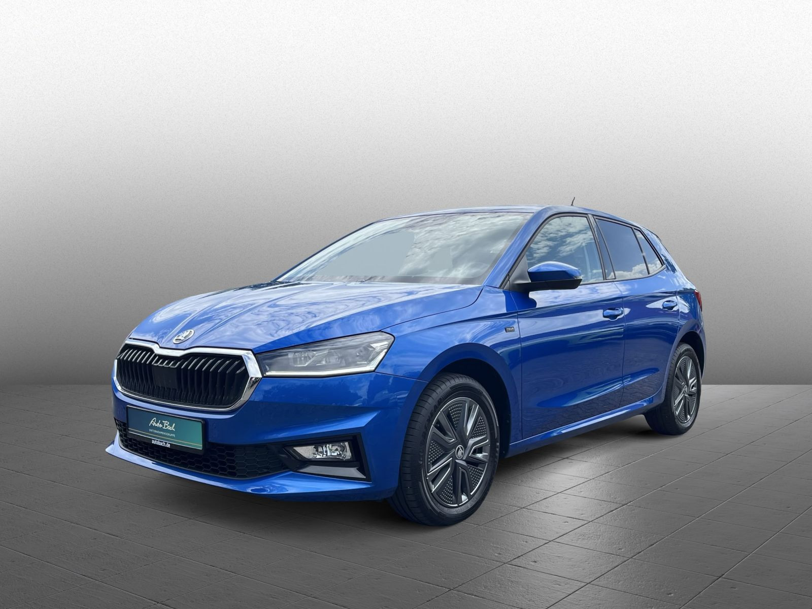 Skoda Fabia Selection Tour 1.0 TSI LED RFK AHK Carplay