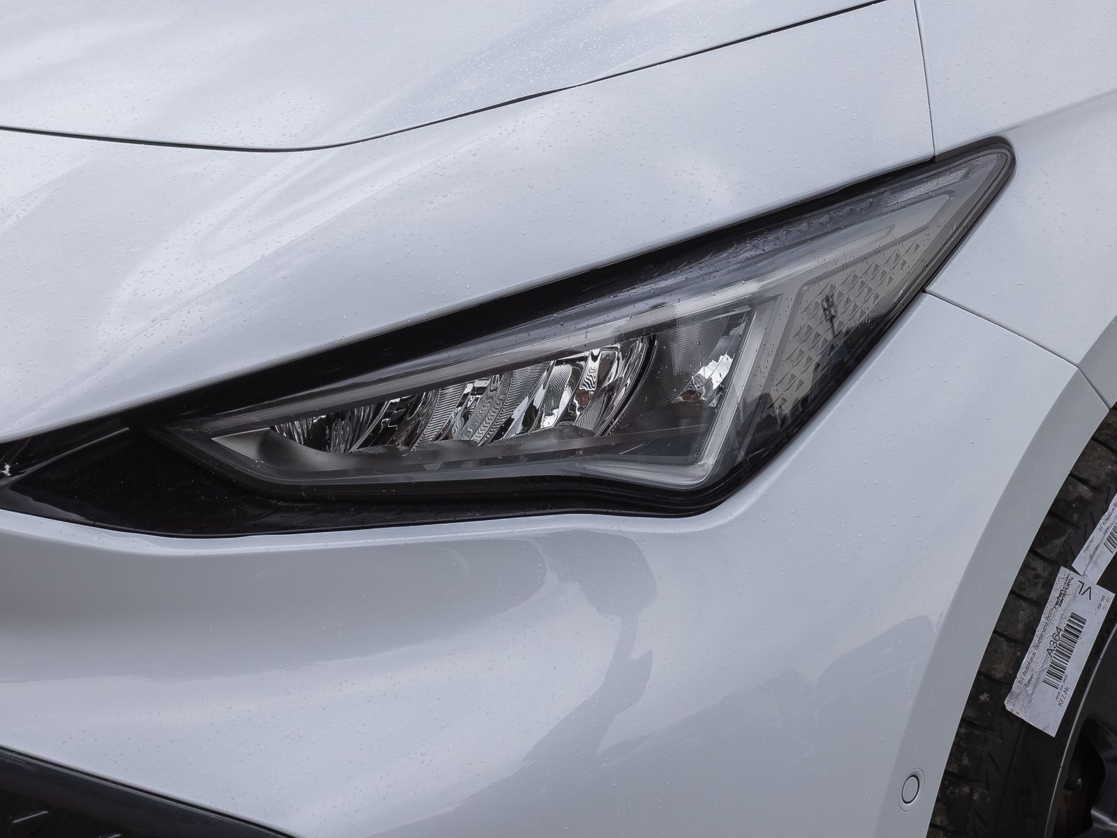 Cupra Born electric Navi LED Standklima ACC EPH
