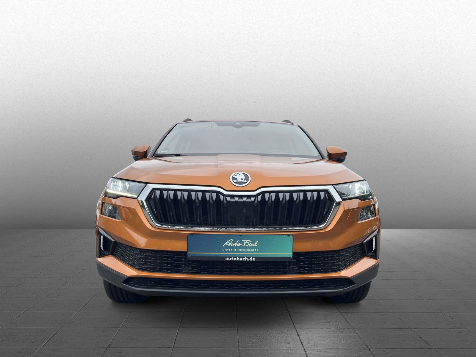 Skoda Karoq Ambition 2.0TDI Navi Matrix ACC Carplay AHK