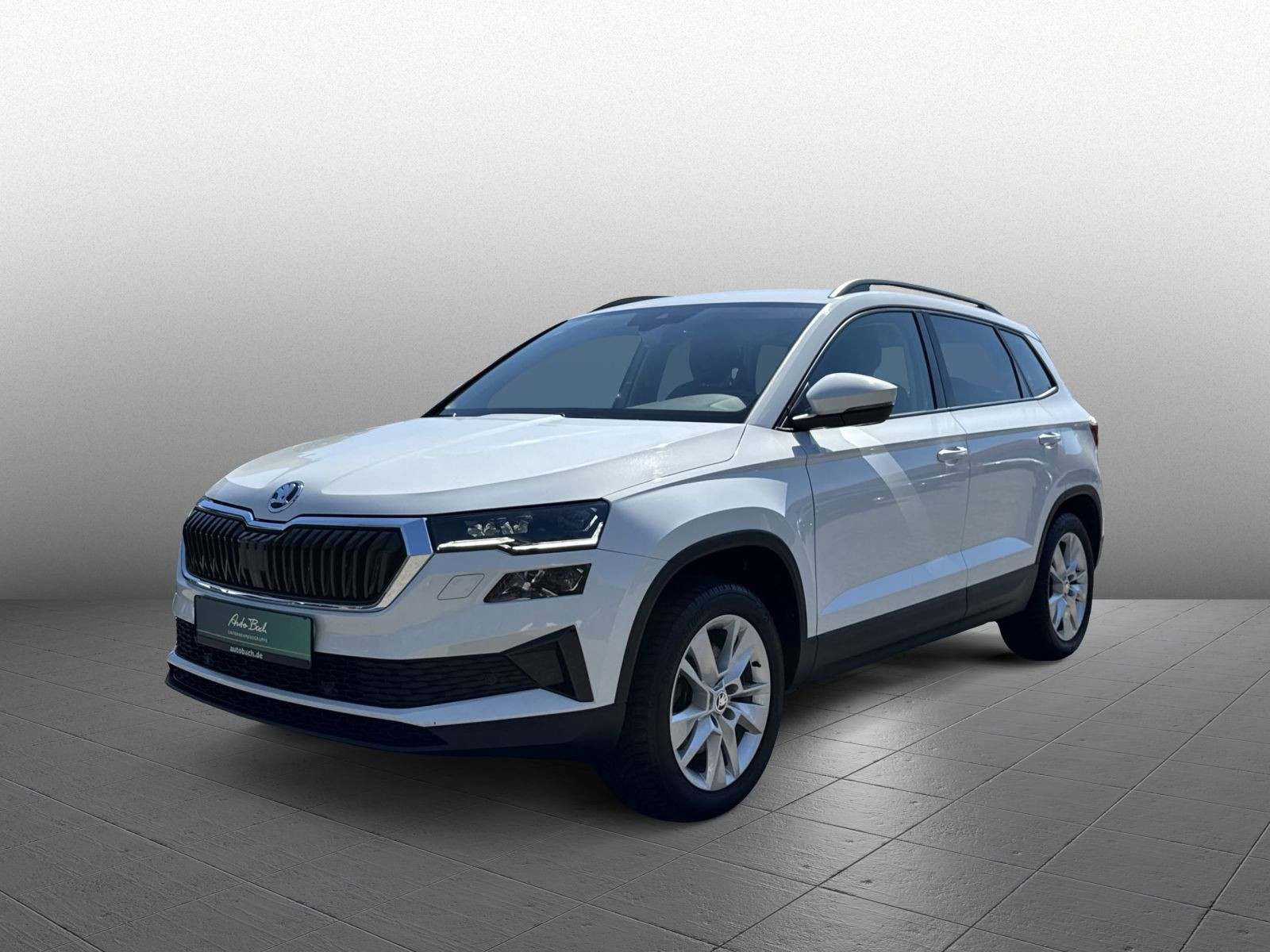 Skoda Karoq Style 2.0 TDI DSG Navi ACC LED RFK AHK