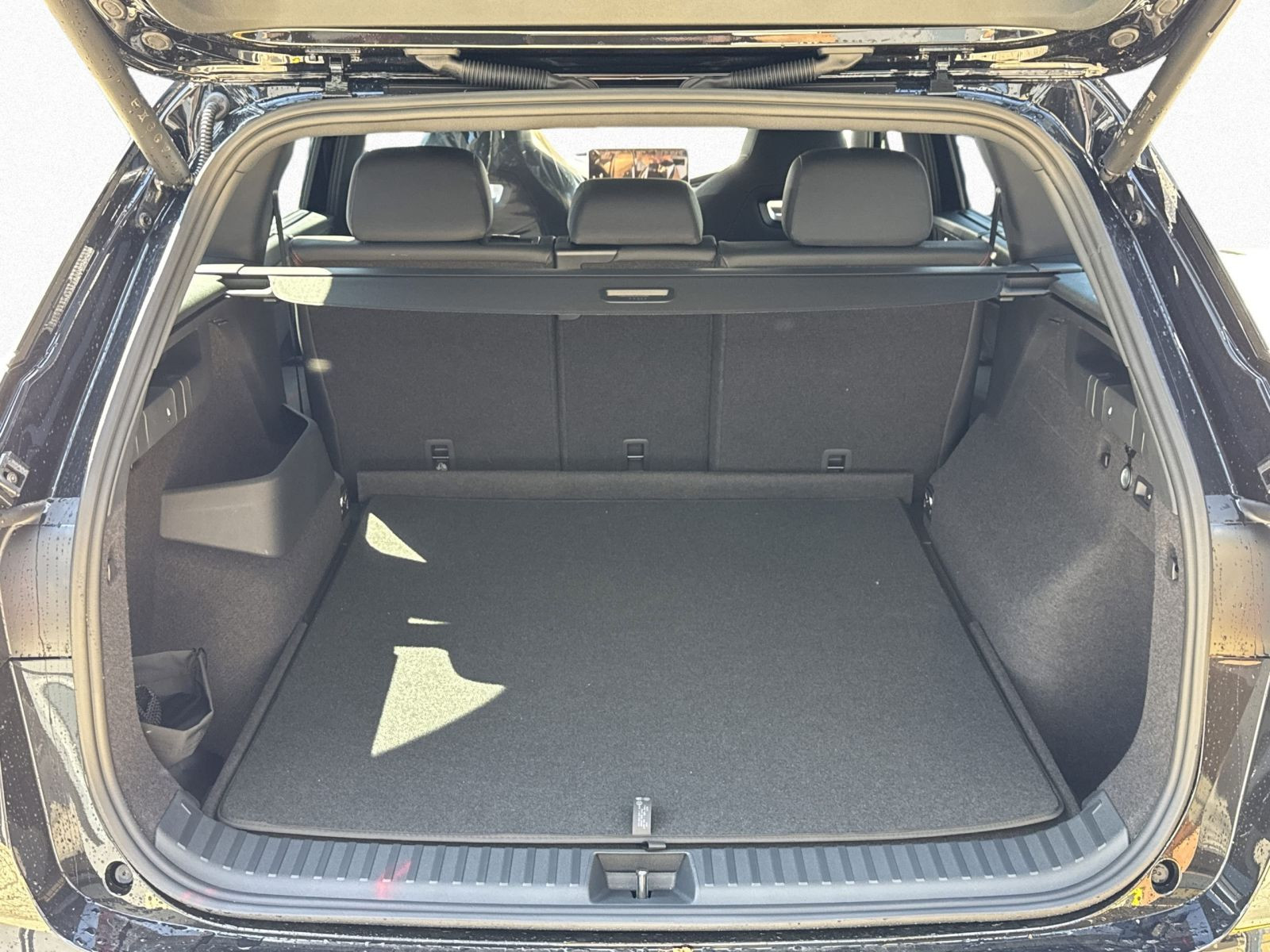 Skoda Kodiaq RS 2,0 TSI 195 kW 7-Gang-DSG 4x4
