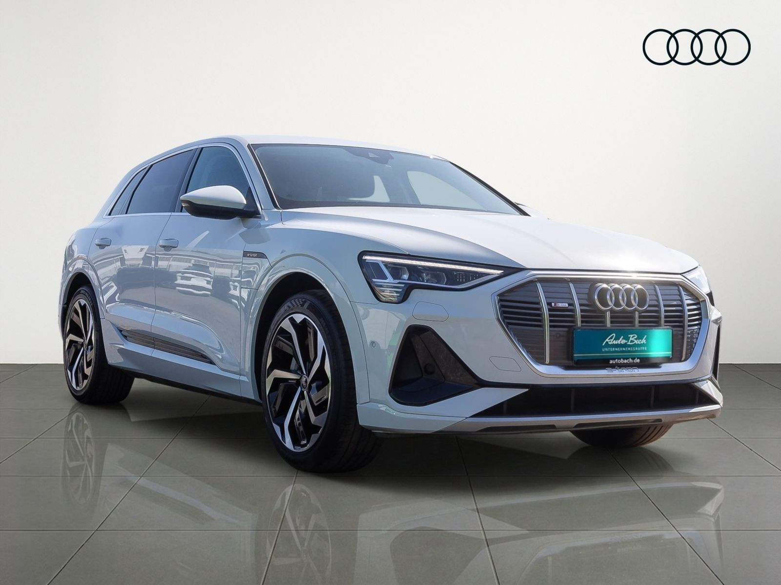 Audi e-tron S line 50 qu Navi Matrix Standklima Luftfederung