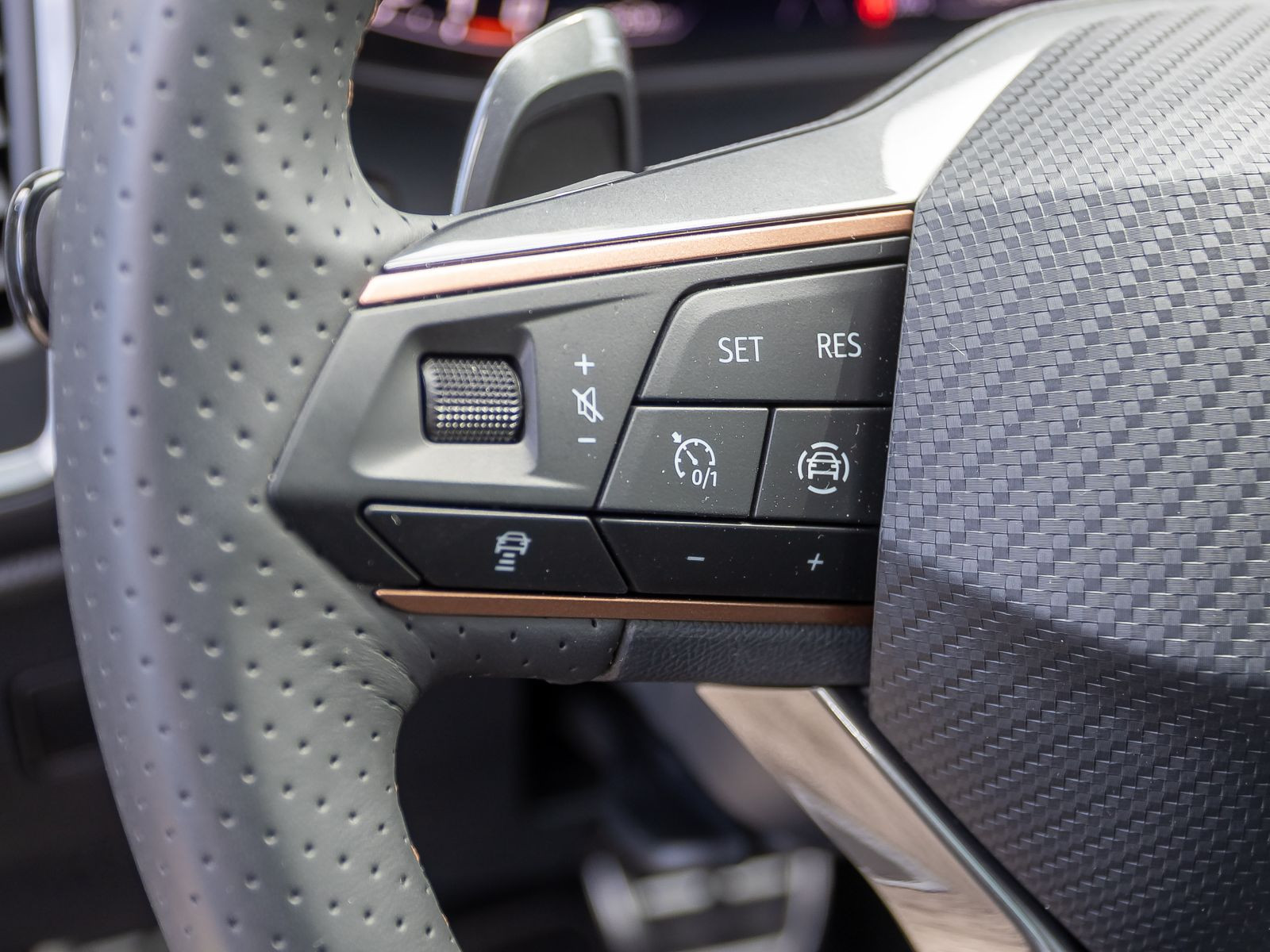 Cupra Ateca 2.0 TSI DSG 4x4 Navi LED ACC AHK