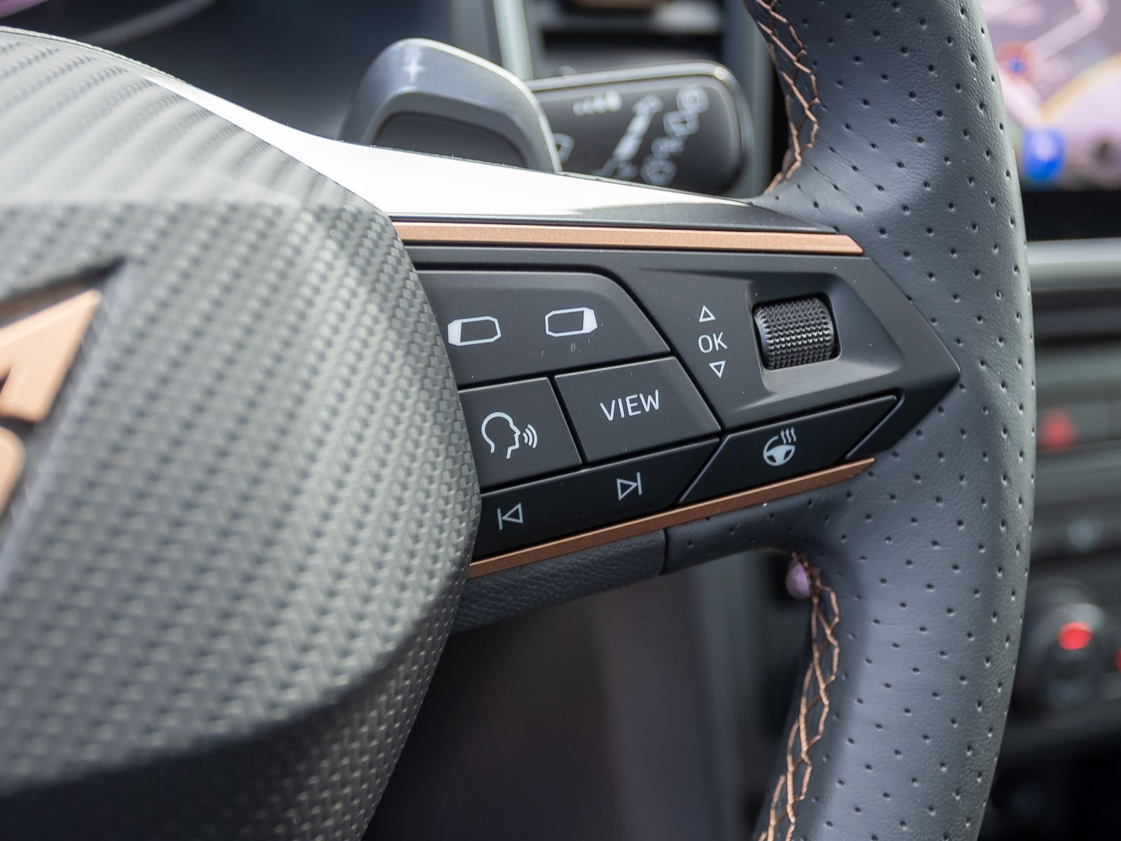 Cupra Ateca 2.0 TSI DSG 4x4 Navi LED ACC AHK