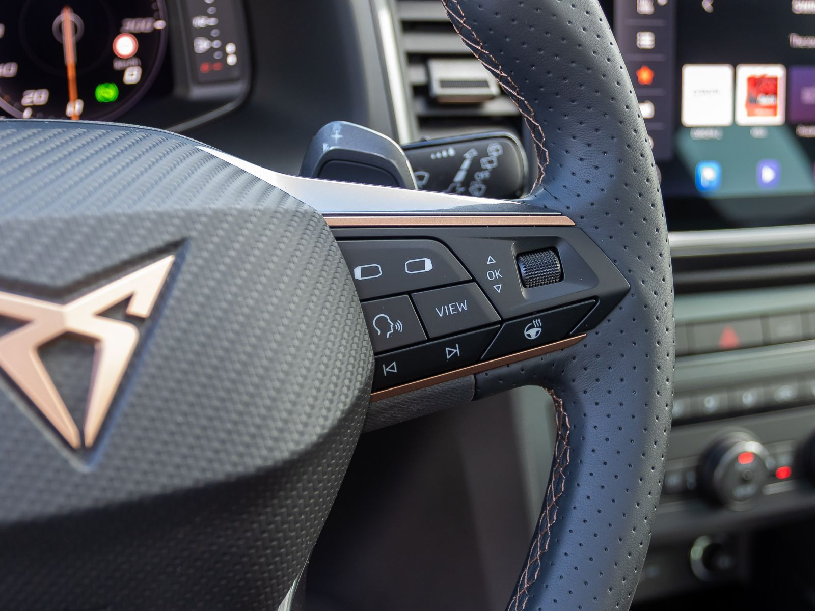 Cupra Ateca 2.0 TSI DSG 4x4 Navi LED ACC AHK