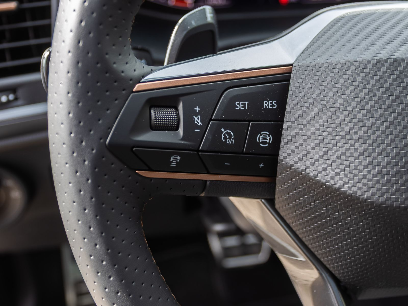 Cupra Ateca 2.0 TSI DSG 4x4 Navi LED ACC AHK