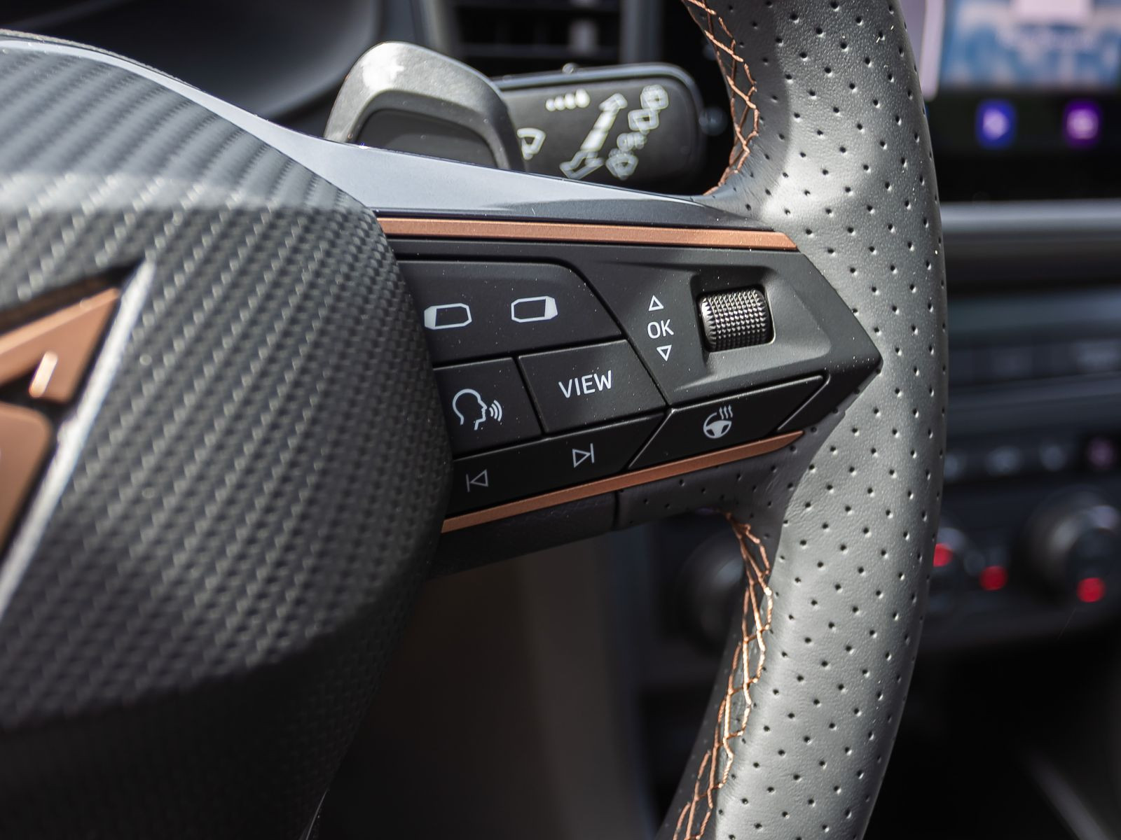 Cupra Ateca 2.0 TSI DSG 4x4 Navi LED ACC AHK