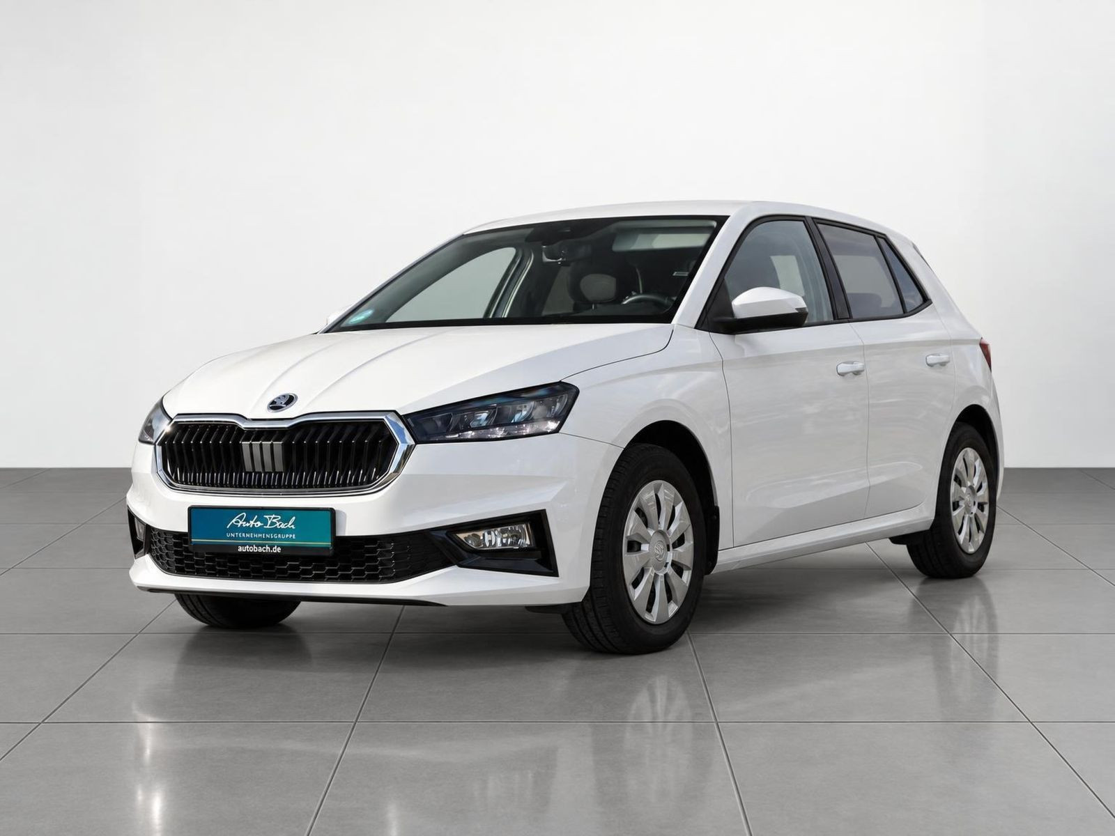 Skoda Fabia Selection 1.0MPI LED GRA EPH